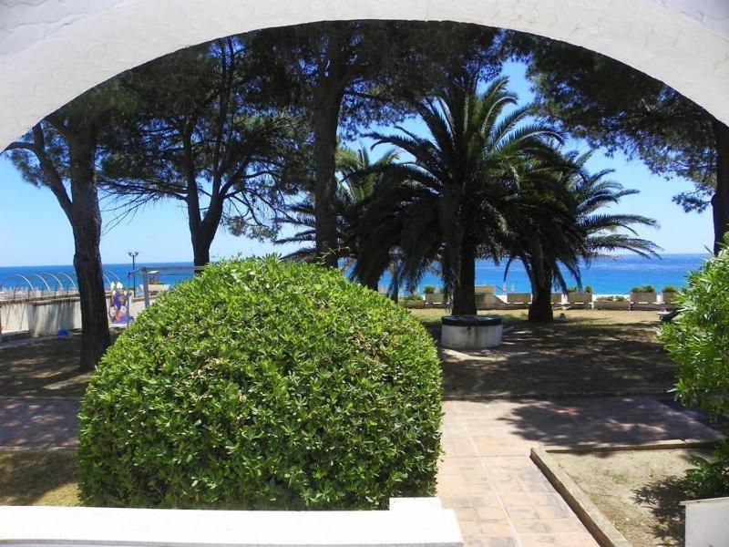 Estella Club مونتيبيان المظهر الخارجي الصورة